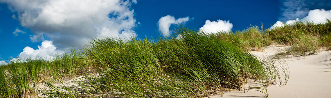 ferienhaus_texelwald_klima_header